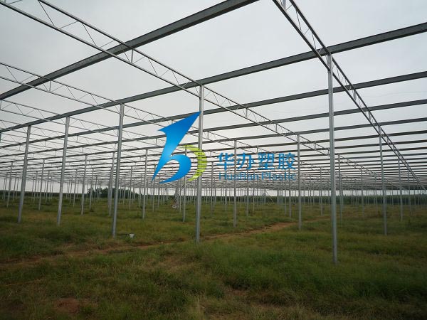 連云港東?？h雙店鎮(zhèn)溫室大棚PC陽光板
