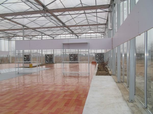 1680141005194388.jpg 456.jpg