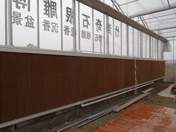 1680141012174711.jpg 789.jpg