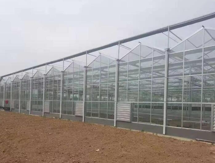 PC薄膜溫室大棚可以防風(fēng)嗎？