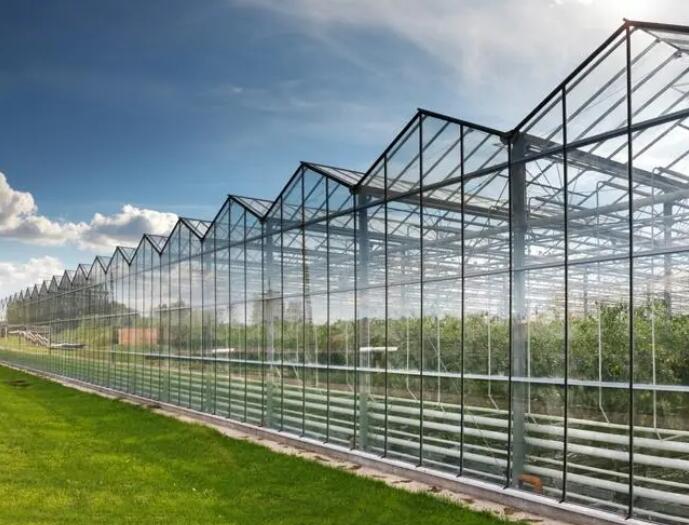 1682577630131201.jpg 171.jpg